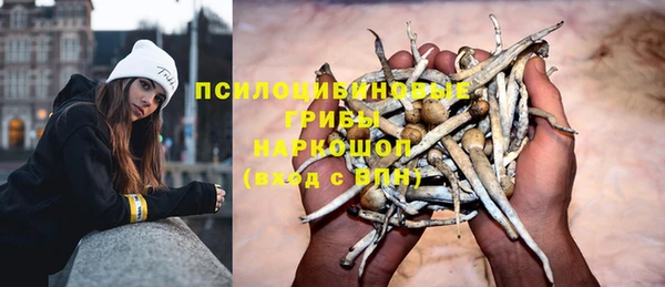MESCALINE Алзамай